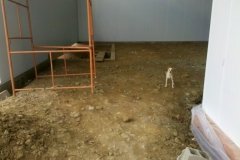 2011-11-20_13-41-37_265